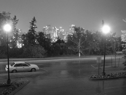 View from my front window